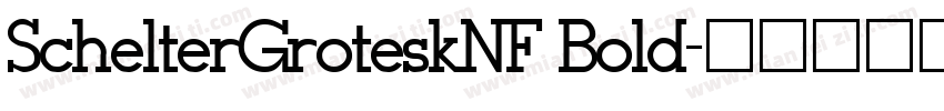 SchelterGroteskNF Bold字体转换